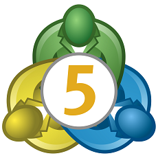 MT5 Logo